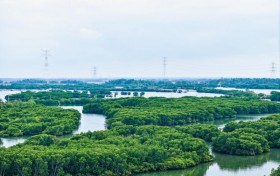 党建+生态环保——红帆扬波护生态，堡垒攻坚促整治